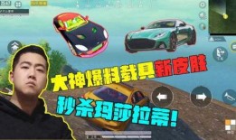 吃鸡载具新皮肤爆料最新,吃鸡战场再添亮丽色彩